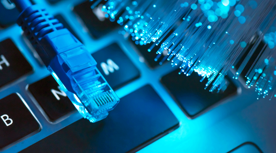 Apex Lions Operatividad e Infraestructura